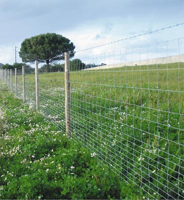 Protéger les habitations de l’intrusion des animaux sauvages Protéger les habitations de l’intrusion des animaux sauvages