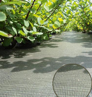 Les toiles biodégradables et compostabless