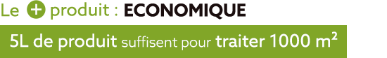 Comment faire partir les mousses ?