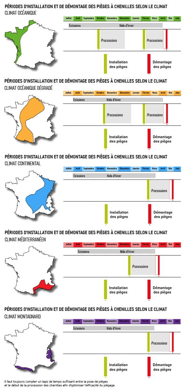 Comment se débarrasser de la chenille processionnaire ? Comment se débarrasser de la chenille processionnaire ?