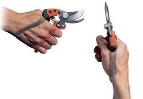 usage secateur